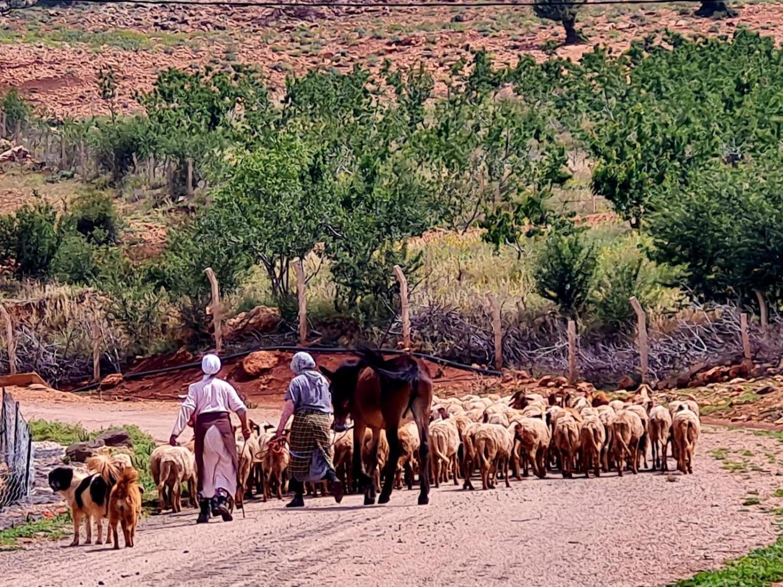 Ferme D"Hote Lala Fatima Ain Leuh Экстерьер фото